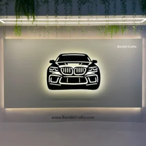 BMW X 6