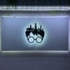Harry Potter (Mobile Controlled)
