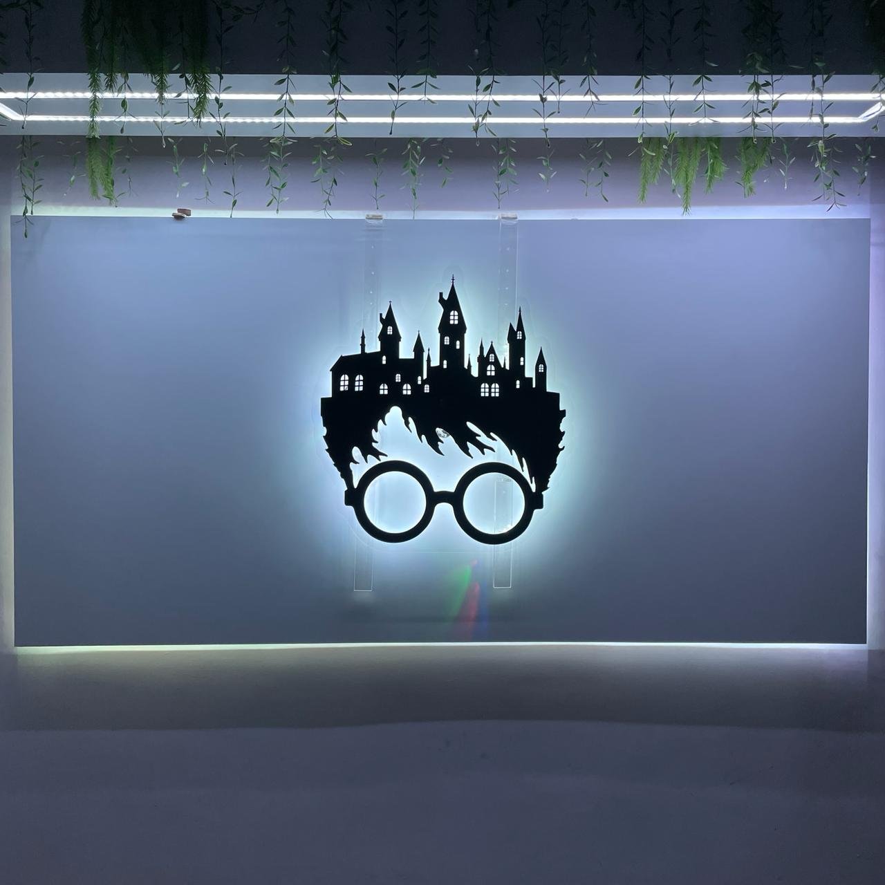 Harry Potter (Mobile Controlled)